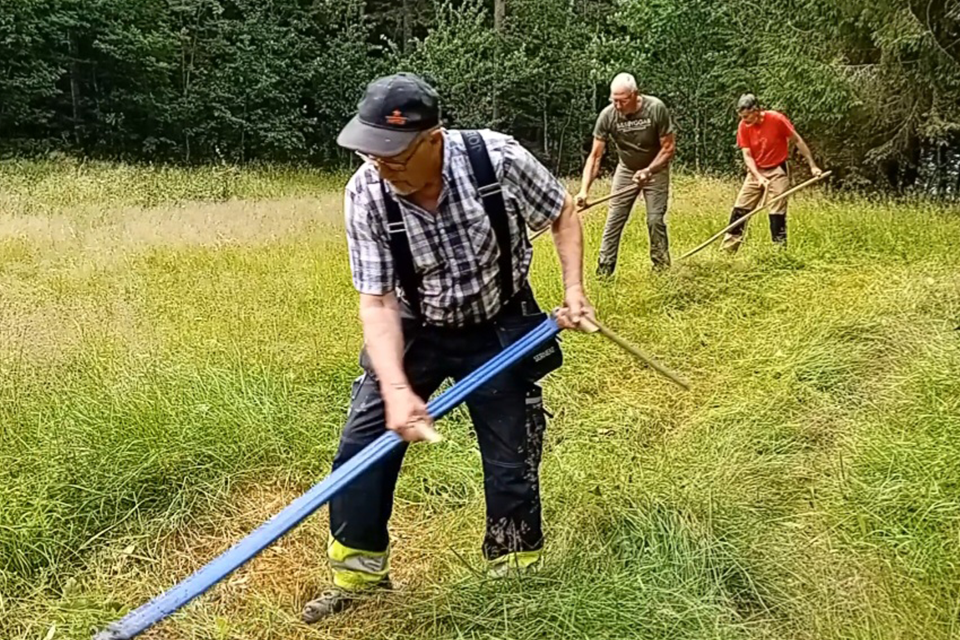Tre män slår med liar på en åker.