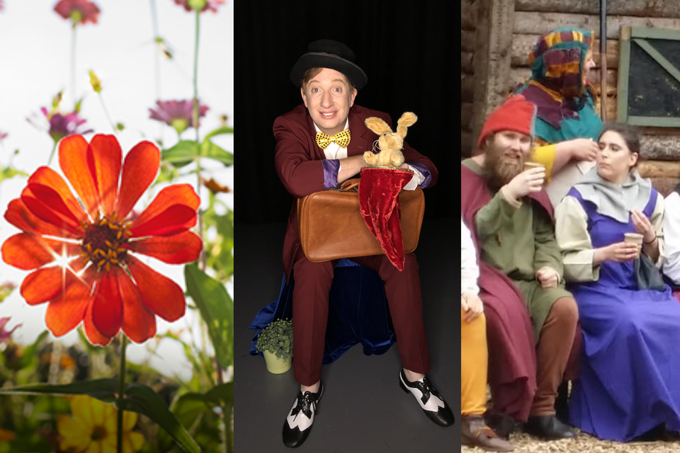 Kollage av tre olika bilder. Första bilden föreställer en blomma, andra bilden föreställer en man med hatt och väska med mörk bakgrund och tredje bilden föreställer tre personer i medeltida kläder.