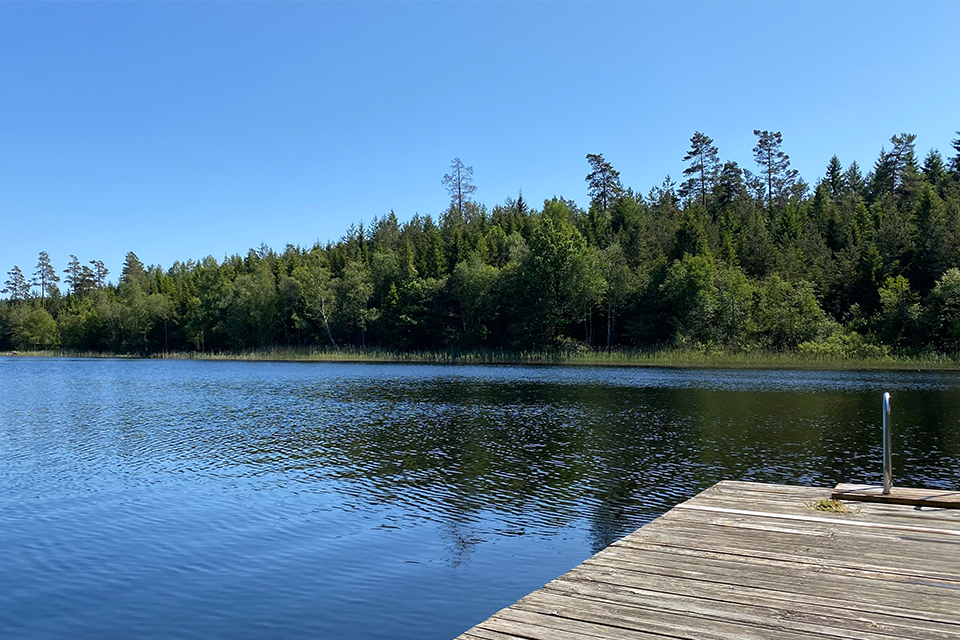 Sjö med brygga och badstege i solsken.