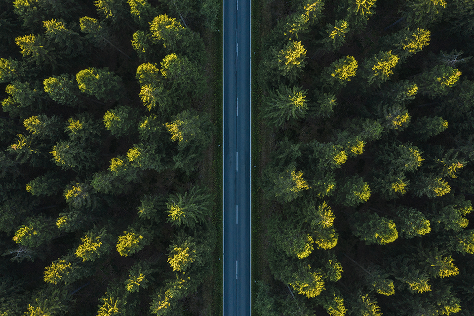 Flygfoto över gröna grantoppar. Mellan träden löper en rak, asfalterad väg.