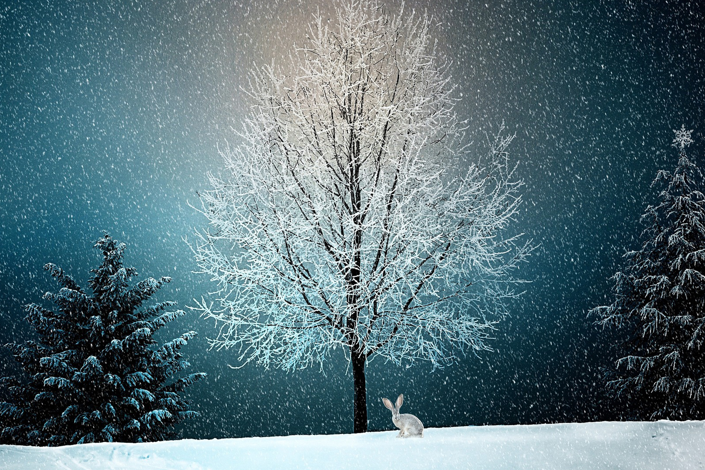 Hare på ett snölandskap. i bakgrunden ett träd med snö på grenarna. Illustration.