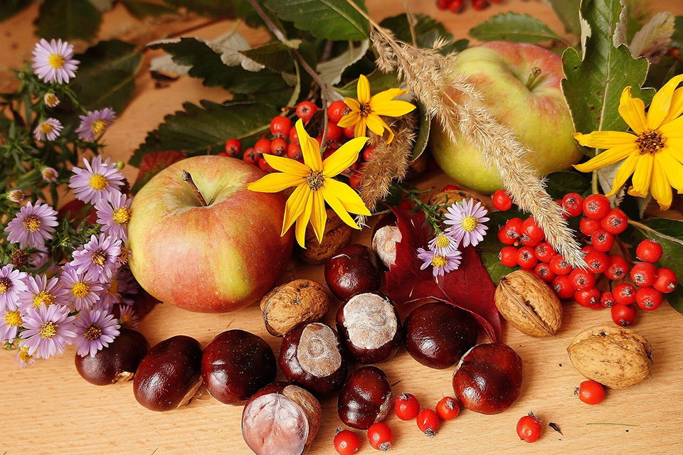 Kastanjer, höstblommor och äpplen med mera  på ett bord