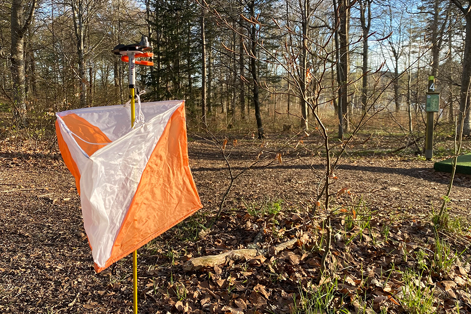 Orienteringsskärm uppsatt i ett buskage i naturen