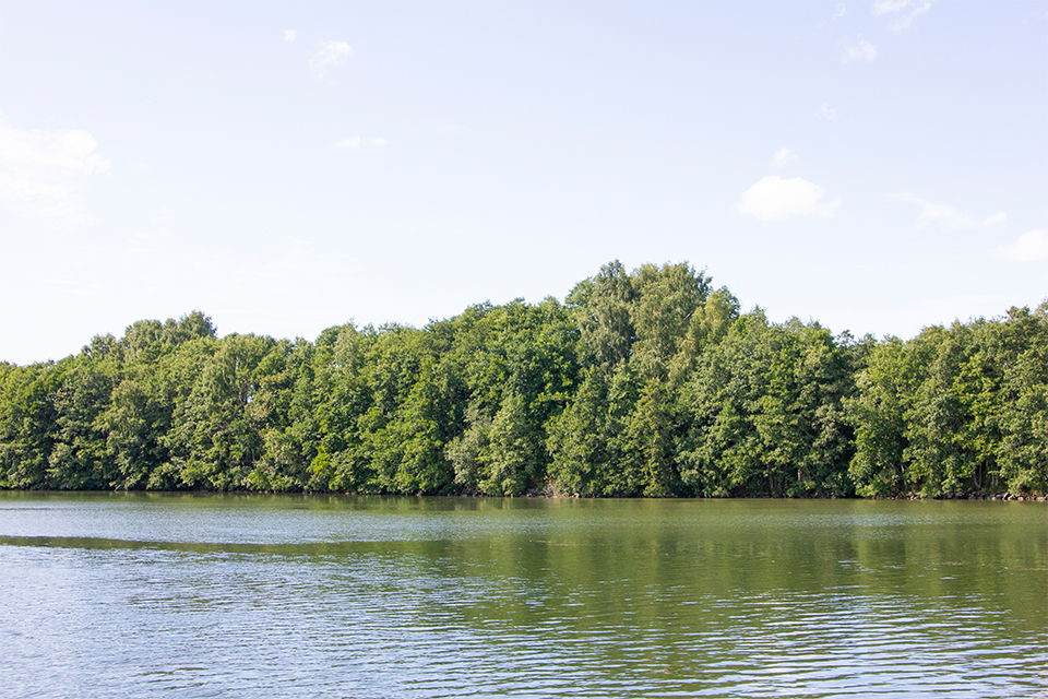 Bilden visar i förgrunden vatten och i horisonten älvkant med träd.