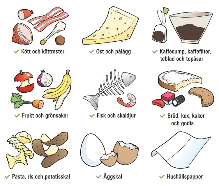 Illustrationer av exempel på matavfall